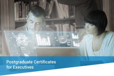 SEA Postgraduate Certificates for Executives