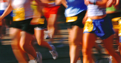 Sport, Exercise and Recreation Management Programmes Studies for Future Development