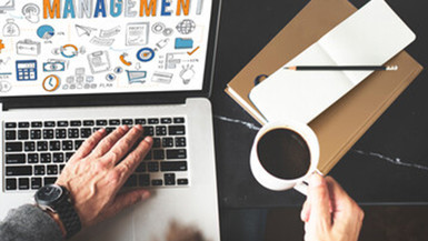 Master of Science Business and Management