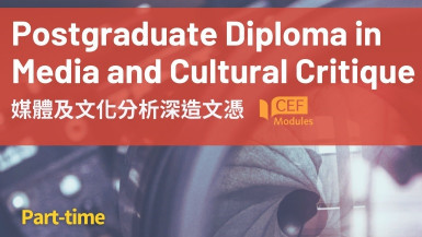 Postgraduate Diploma in Media and Cultural Critique