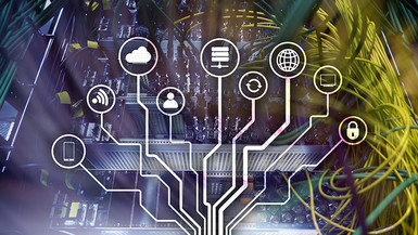 Bachelor of Science (Honours) in Information Technology