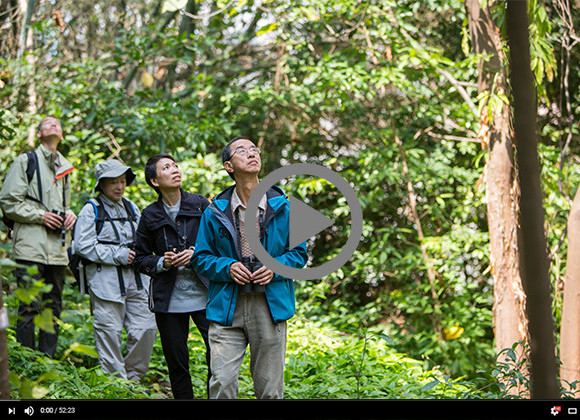 Lam Chiu Ying on Bird Watching: Noticing, Seeing, Observing