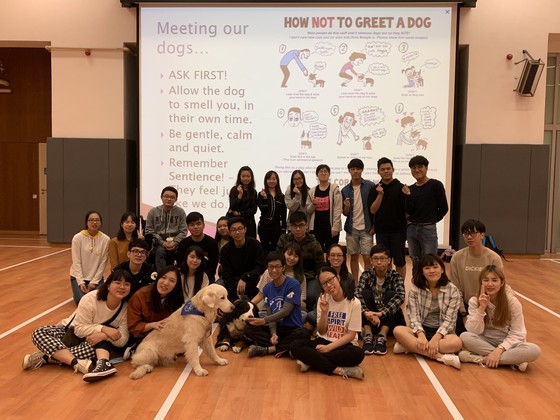 Find and develop your true talents