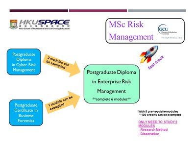 Articulation pathway for Enterprise Risk Management
