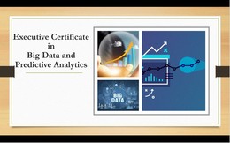 Executive Certificate in Big Data and Predictive Analytics