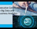 Executive Certificate in Big Data and Business Analytics
