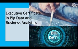 Executive Certificate in Big Data and Business Analytics