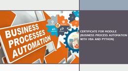 Certificate for Module (Business Process Automation with VBA and Python)