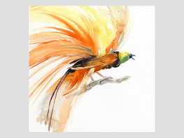 陈启贤导师作品