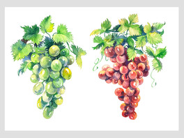 陈启贤导师作品