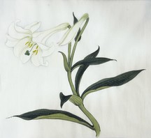 蔡德怡导师作品