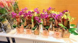 欧洲花艺魅力示范表演