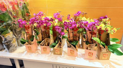 欧洲花艺魅力示范表演