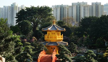 葉志剛導師作品八